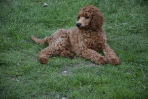 2016-06-04 19.53.20 (FILEminimizer)