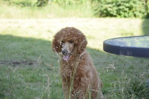  DSC8551 (FILEminimizer)