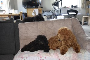  DSC9648 (FILEminimizer)